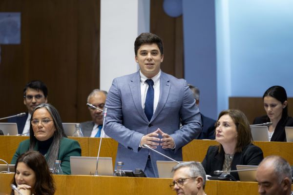 LUIS RAPOSO PSD