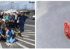 No More Plastics for the Azores | Centenas de quilos de lixo recolhidos na última limpeza