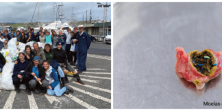 No More Plastics for the Azores | Centenas de quilos de lixo recolhidos na última limpeza