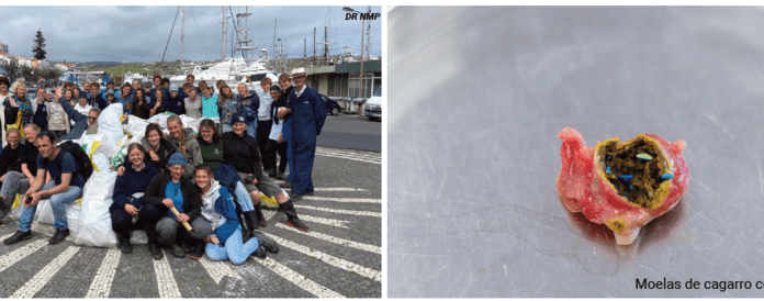 No More Plastics for the Azores | Centenas de quilos de lixo recolhidos na última limpeza