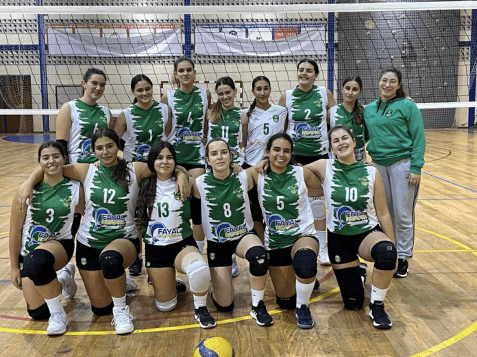 voleibol
