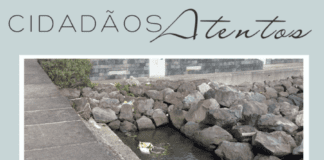 Cidadãos Atentos
