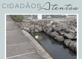 Cidadãos Atentos