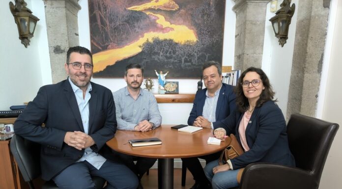 Ordem dos Enfermeiros dos Açores e Proteção Civil alinham acordo para cooperação em catástrofe