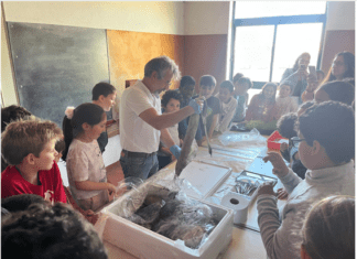 Cientista Regressa à Escola | Filipe Porteiro visita Pasteleiro e Flamengos