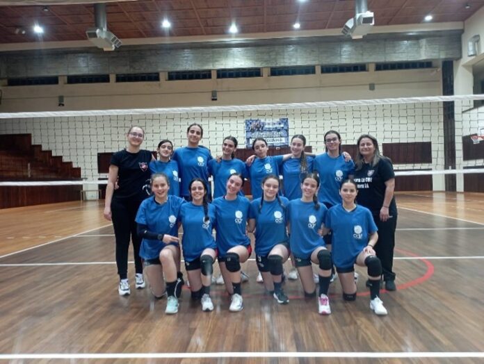 voleibol