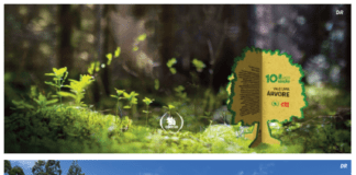 “Uma Árvore pela Floresta” | GNR e CTT da Horta envolvidos na iniciativa