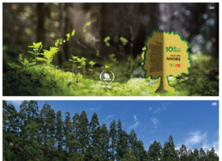“Uma Árvore pela Floresta” | GNR e CTT da Horta envolvidos na iniciativa