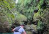 Outros trails | Trail Run das Nascentes