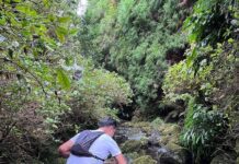 Outros trails | Trail Run das Nascentes
