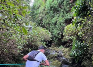 Outros trails | Trail Run das Nascentes