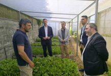 Paulo do Nascimento Cabral defende crescimento e sustentabilidade da Agricultura Biológica nos Açores