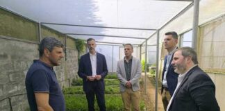 Paulo do Nascimento Cabral defende crescimento e sustentabilidade da Agricultura Biológica nos Açores