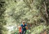 Outros trails | Trail de São Mateus