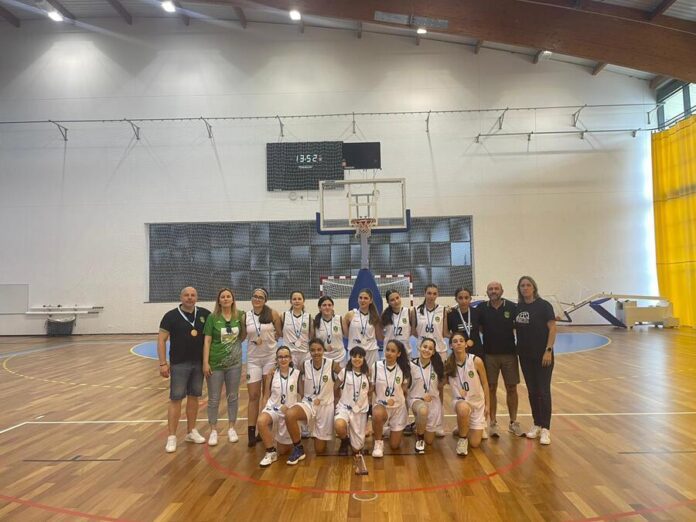 basquetebol