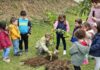 Plano e Orçamento da autarquia | Junta da Praia do Almoxarife cria quinta comunitária