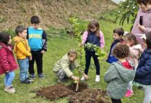 Plano e Orçamento da autarquia | Junta da Praia do Almoxarife cria quinta comunitária
