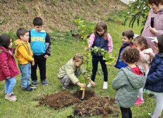 Plano e Orçamento da autarquia | Junta da Praia do Almoxarife cria quinta comunitária