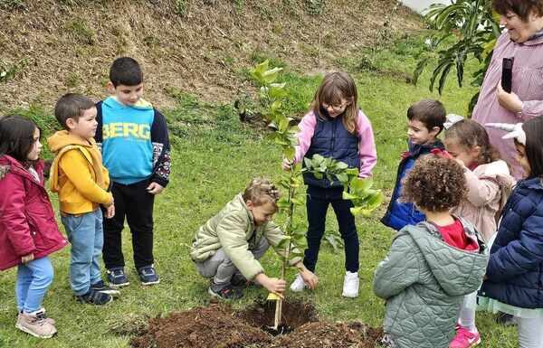 Plano e Orçamento da autarquia | Junta da Praia do Almoxarife cria quinta comunitária