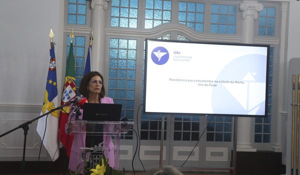 susana mira leal
