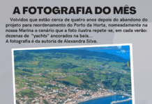 A fotografia do mês