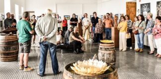 Na ilha de São Jorge há “Exposição Fringe” e ainda programação ao vivo no festival internacional de artes