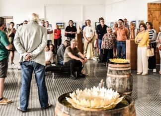 Na ilha de São Jorge há “Exposição Fringe” e ainda programação ao vivo no festival internacional de artes