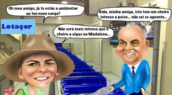 Cartoon semanal | 21 de junho de 2024