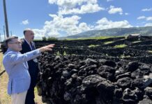 Presidente da Assembleia Legislativa enaltece o trabalho e dedicação da Confraria do Vinho Verdelho dos Biscoitos
