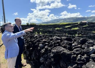 Presidente da Assembleia Legislativa enaltece o trabalho e dedicação da Confraria do Vinho Verdelho dos Biscoitos