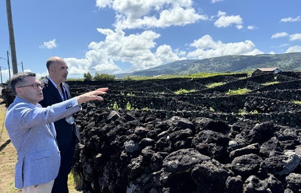 Presidente da Assembleia Legislativa enaltece o trabalho e dedicação da Confraria do Vinho Verdelho dos Biscoitos