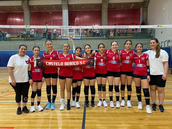 voleibol