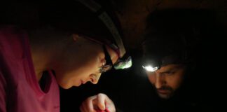 Projeto internacional SEAGHOSTS | OKEANOS e Faculdade de Ciências de Lisboa vão monitorizar alterações dos ecossistemas marinhos até 2027