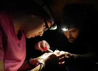 Projeto internacional SEAGHOSTS | OKEANOS e Faculdade de Ciências de Lisboa vão monitorizar alterações dos ecossistemas marinhos até 2027
