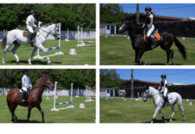 Taça Açores de Obstáculos | Elias Pinheiro, Inês Avelar e Margarida Duarte marcarão presença na final