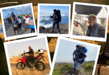 My Sweet Faial | Viver ao sabor do vento