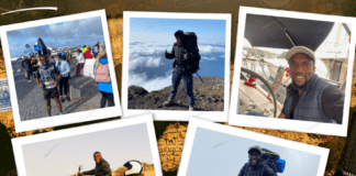 My Sweet Faial | Viver ao sabor do vento