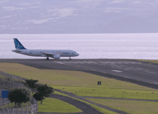 Transporte Aéreo de Passageiros | Grupo SATA fechou 2024 com um prejuízo acumulado de 82,8 milhões de euros