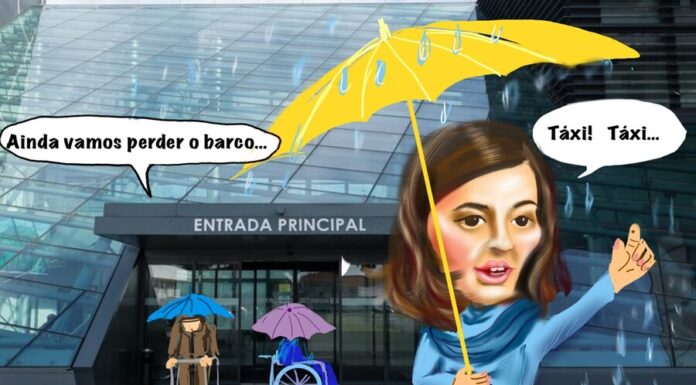 Cartoon semanal | 19 de julho de 2024