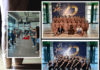 Dança – All Dance Europa 2024 | Corpo em Movimento regressa carregado