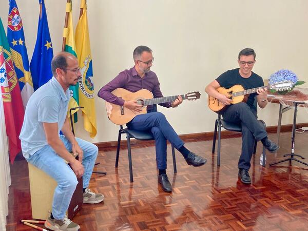 viola da terra