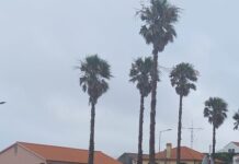 Praça de táxis do Hospital da Horta | Associação de Taxistas do Faial e Conselho de Administração contradizem-se
