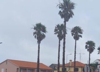 Praça de táxis do Hospital da Horta | Associação de Taxistas do Faial e Conselho de Administração contradizem-se