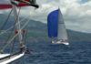 AtlantisCup – Regata da Autonomia | Falta de vento condicionou a primeira etapa
