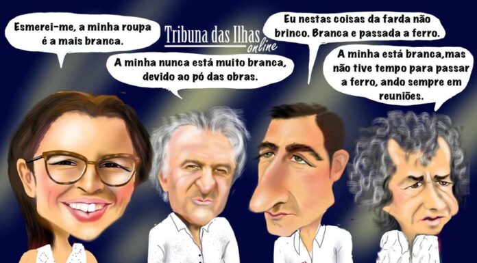 Cartoon semanal | 12 de julho de 2024