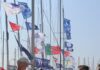 Semana do Mar | Distribuição de hortências uma tradição que marca o início da maior festividade da ilha do Faial