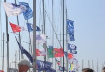 Semana do Mar | Distribuição de hortências uma tradição que marca o início da maior festividade da ilha do Faial