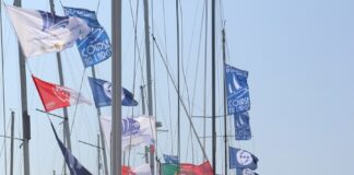 Semana do Mar | Distribuição de hortências uma tradição que marca o início da maior festividade da ilha do Faial