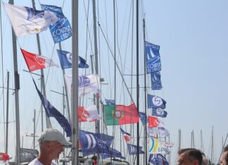 Semana do Mar | Distribuição de hortências uma tradição que marca o início da maior festividade da ilha do Faial