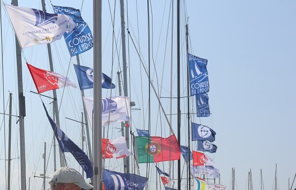 Semana do Mar | Distribuição de hortências uma tradição que marca o início da maior festividade da ilha do Faial